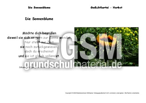 Die-Sonnenblume-Goethe.pdf